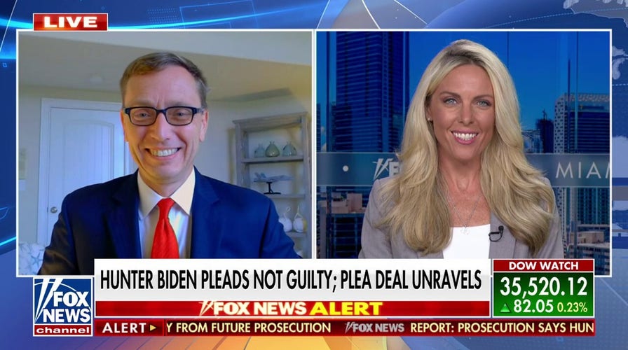 Hunter Biden's plea deal was 'not normal': Nicole Parker