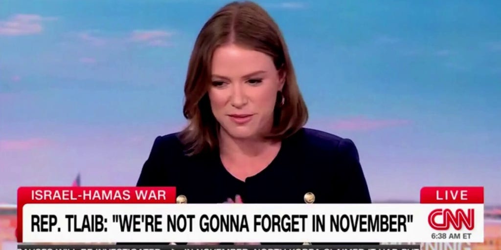 CNN pundit annoyed after James Carville says Dems are 'Full of s---': Be ‘constructive'