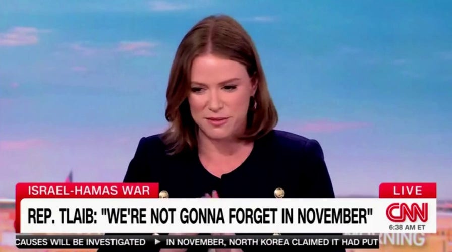 CNN pundit annoyed after James Carville says Dems are 'Full of s---': Be ‘constructive'