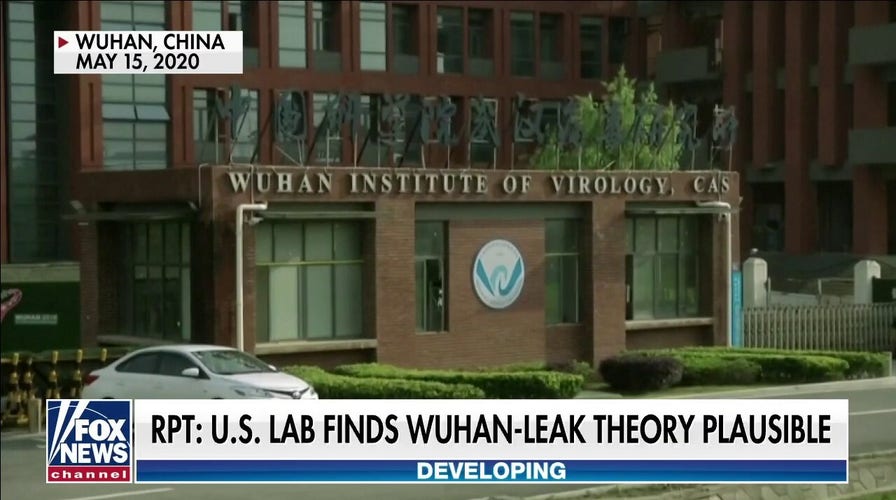 Newly resurfaced report from U.S. scientists says Wuhan lab leak theory is ‘plausible’