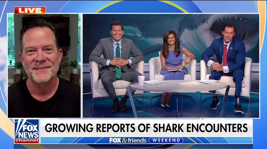 'Look before you go in': Ocearch founder Chris Fischer warns sharks could ruin some Memorial Day plans