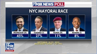 Mamdani leading in NYC mayoral race, Fox News poll indicates