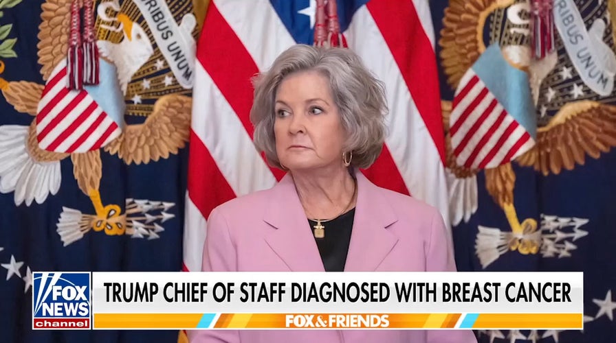 Trump Chief of Staff Susie Wiles reveals bosom  crab  diagnosis