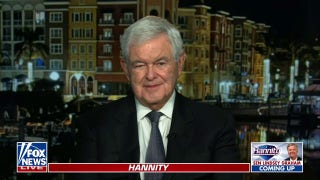 Trump is beginning to 'find his stride': Newt Gingrich - Fox News