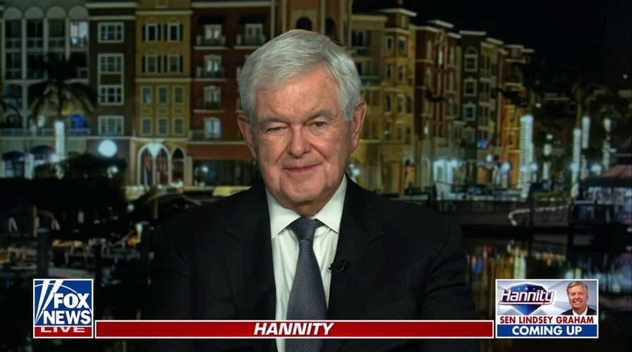 Trump is beginning to 'find his stride': Newt Gingrich