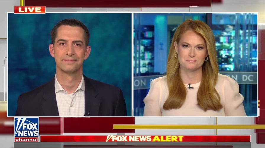 Tom Cotton: ‘Americans are confused just like Joe Biden’