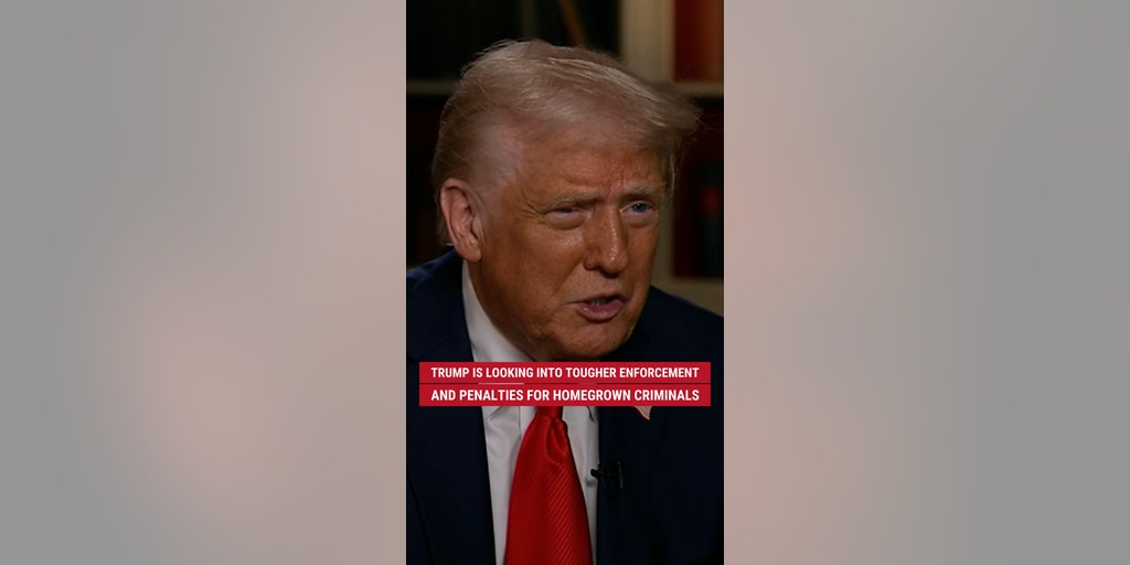 President Trump says he is looking into tougher enforcement and penalties for homegrown criminals