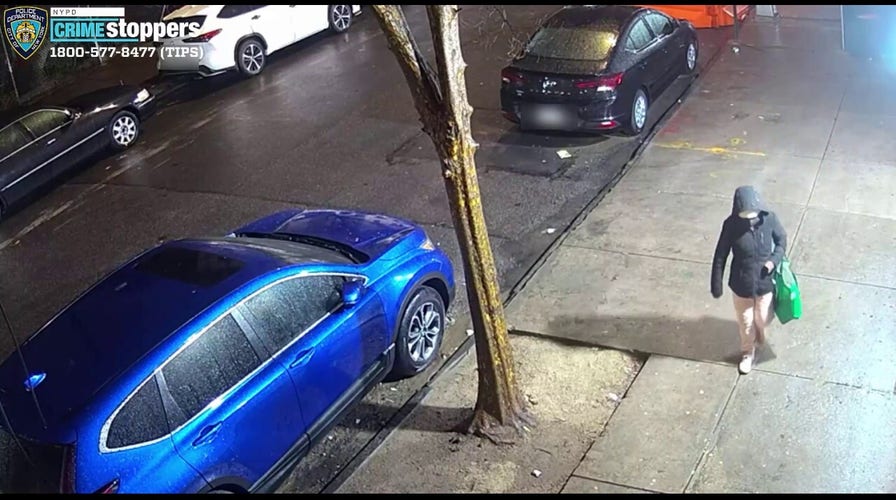 Person wanted for abandoning baby in bag: NYPD