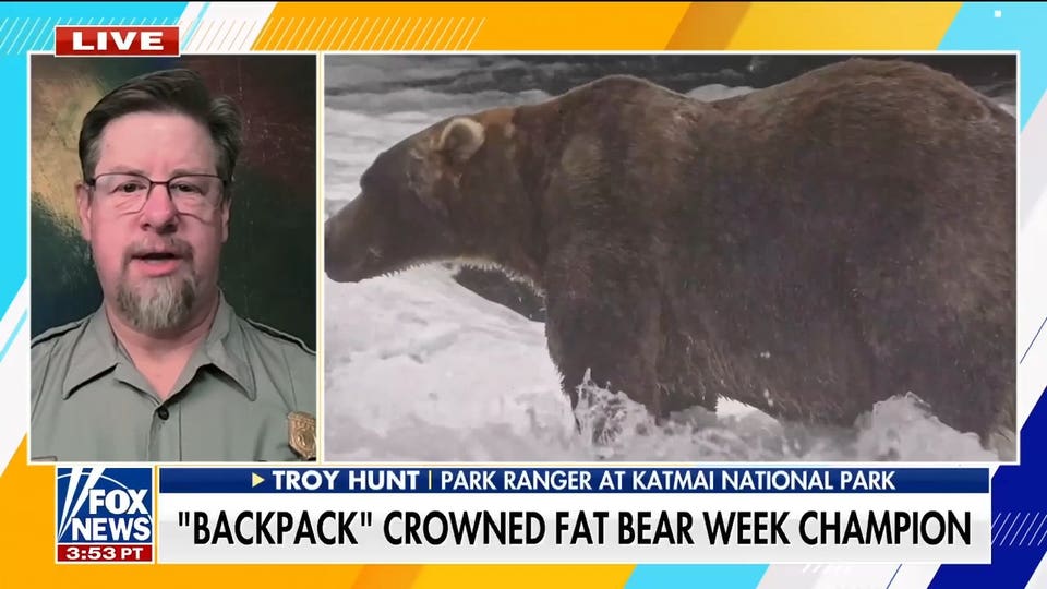'Backpack' crowned winner of Fat Bear Week