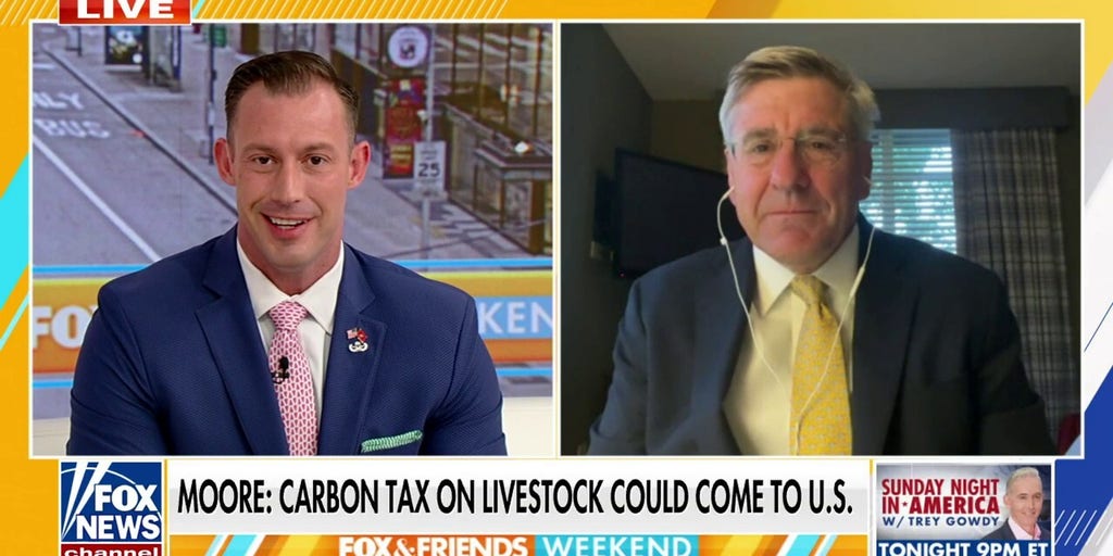 Steve Moore pulls the curtain back on Biden’s student loan plan: We are ‘going bankrupt’