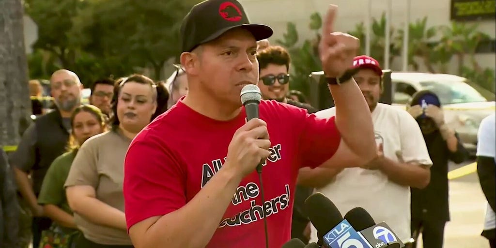 Los Angeles teacher calls for armed resistance to ICE after US Marshal, illegal immigrant shot | Fox News Video