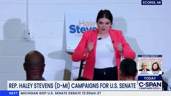 Dem Senate candidate gets shredded online for viral ‘stick it to them’ moment