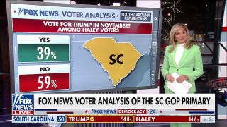 Sandra Smith breaks down Trump-Haley voter analysis on South Carolina primary - Fox News