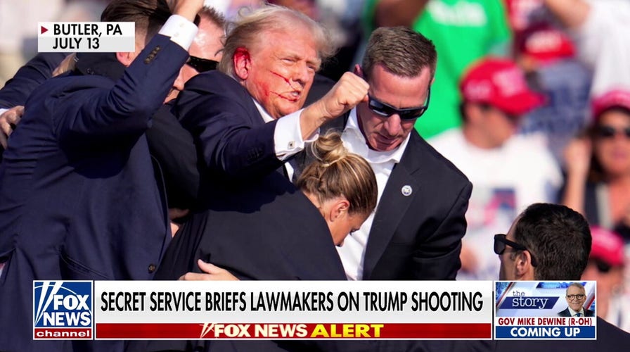 Secret Service had 'complete breakdown in communication' during Trump shooting: Rep. Michael Waltz