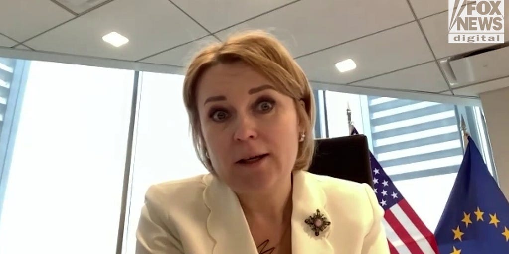 EU ambassador to US warns Texas to be among those hardest hit in Trump tariff war