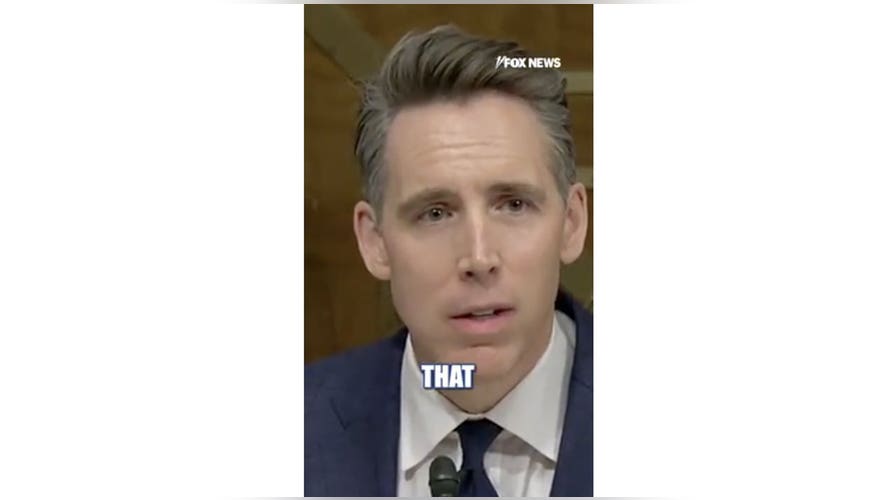Sen Josh Hawley raises privacy concerns over Flock cameras 