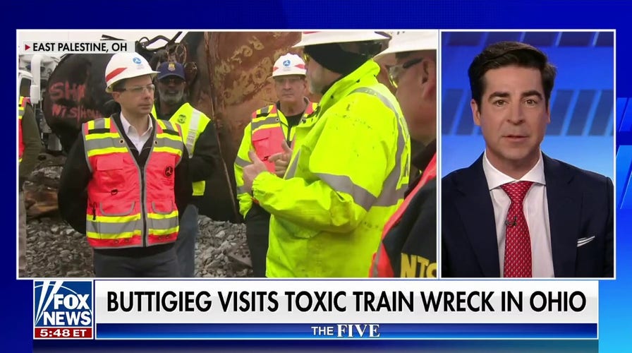 Jesse Watters: Pete Buttigieg looks like a little kid wearing his father's clothes