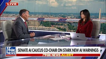 Sen Mike Rounds: Russia and China want US to slow down AI momentum