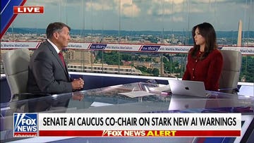 Sen Mike Rounds: Russia and China want US to slow down AI momentum