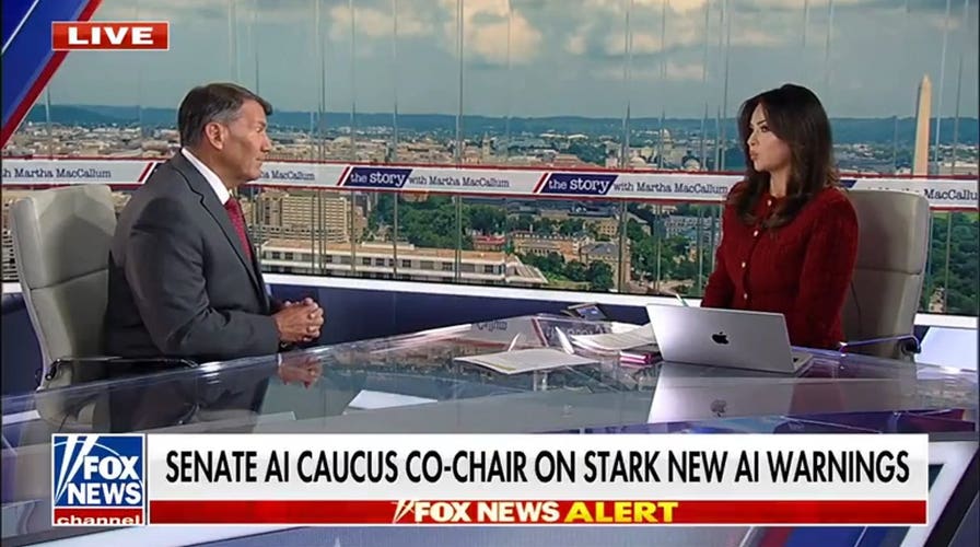 Sen Mike Rounds: Russia and China want US to slow down AI momentum