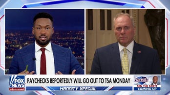 House Majority Leader Steve Scalise says now is ‘not a time’ to defund DHS