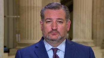 Sen. Ted Cruz labels Biden's joint address to Congress 'boring but radical'