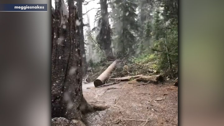 Rare August snow falls in Teton Pass, Wyoming