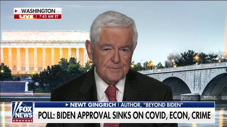 Newt Gingrich: Dems trying to 'pay off allies' before 2022 tsunami in midterms