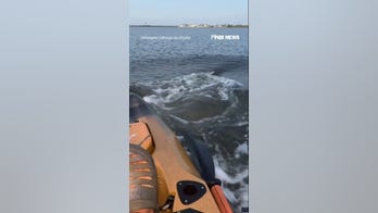 WATCH: MASSIVE bull shark ROCKS kayaker