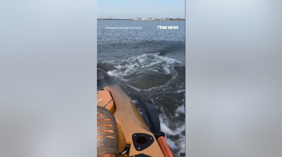 WATCH: MASSIVE bull shark ROCKS kayaker