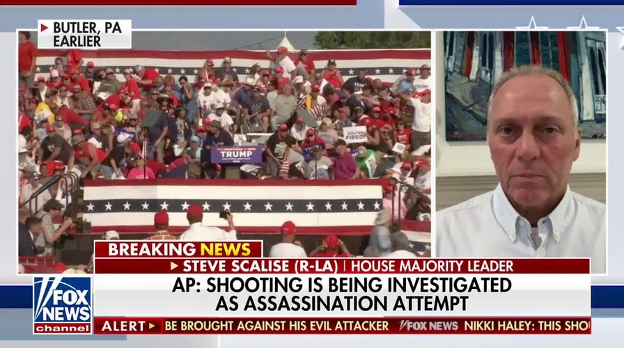 Steve Scalise: Incendiary rhetoric 'needs to stop'
