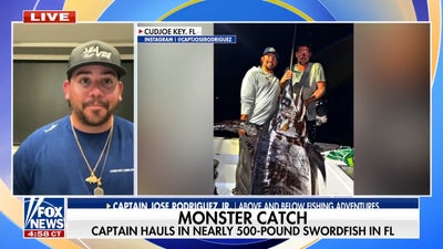 Florida captain battles five hours to land 'monster' 480-pound swordfish