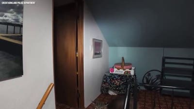 Police drone captures bobcat prowling inside Washington home after surprise break-in