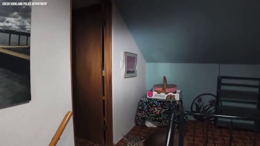 Police drone captures bobcat prowling inside Washington home after surprise break-in