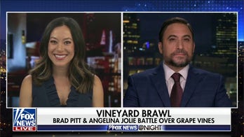 Brad Pitt and Angelina Jolie battle over French vineyard