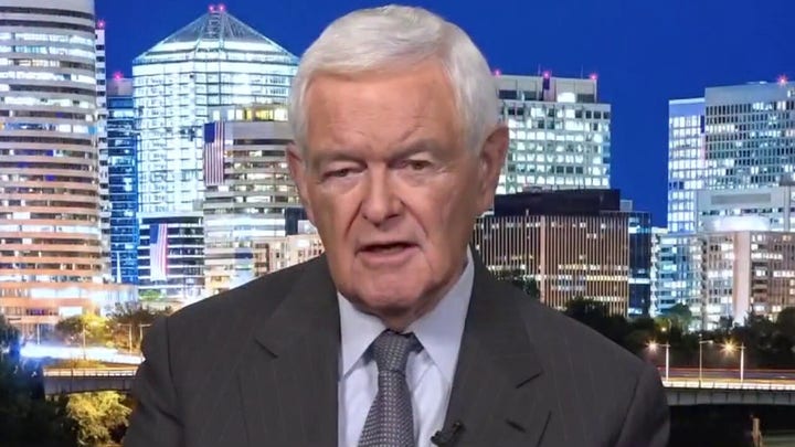 Newt Gingrich explains why Democrats aren't the party of parents