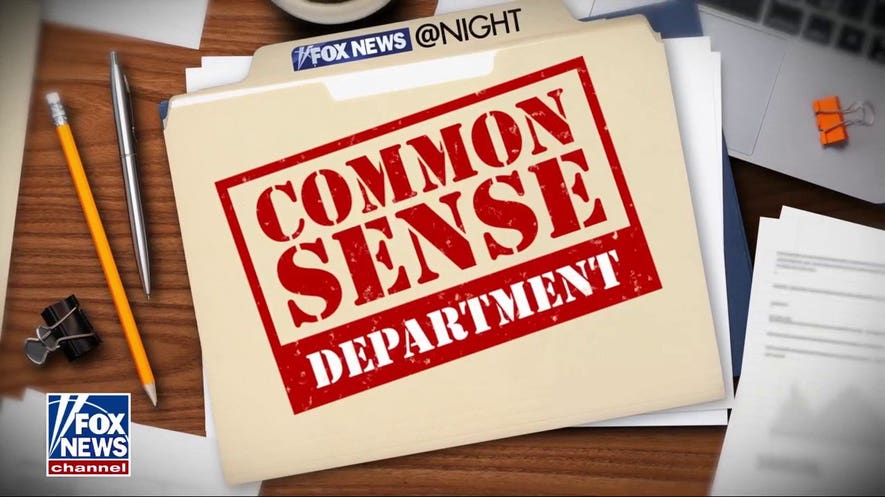 Trace Gallagher: The 'Common Sense Department' has concerns about Mamdani's priorities