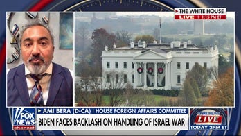 Biden doing a ‘good job’ of protecting Israel and ‘understanding’ Palestinian lives: Democratic Congressman