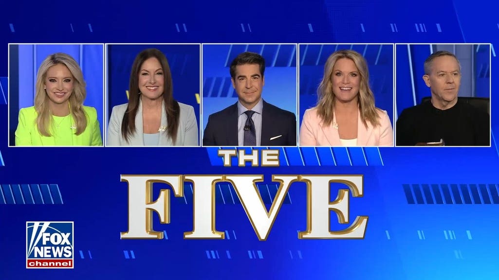 Kayleigh McEnany: El-Sayed is one of the ‘most dangerous’ left-wing candidates