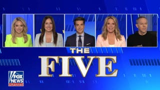 Kayleigh McEnany: El-Sayed is one of the ‘most dangerous’ left-wing candidates