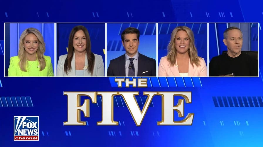 Kayleigh McEnany: El-Sayed is one of the ‘most dangerous’ left-wing candidates