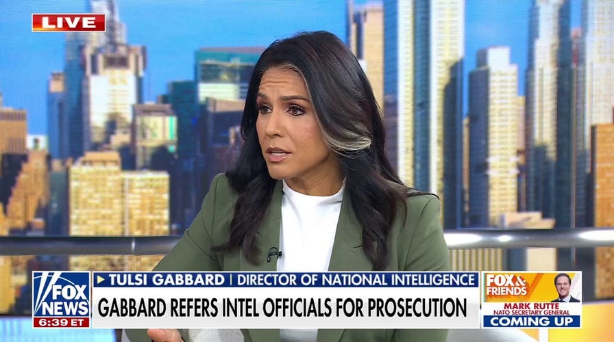DNI Tulsi Gabbard refers alleged intel leakers for prosecution: 'Need to be held accountable'
