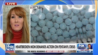 Mom whose sons died from fentanyl blasts Democrats after House hearing: ‘We have reason to be afraid’ - Fox News