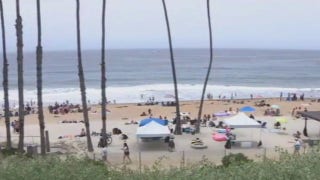 California surfer survives encounter with shark who displayed ‘aggressive’ behavior - Fox News