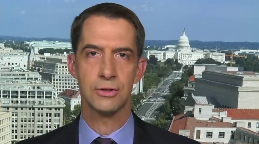 Sen. Cotton deciphers Jerry Nadler denying violence in Portland