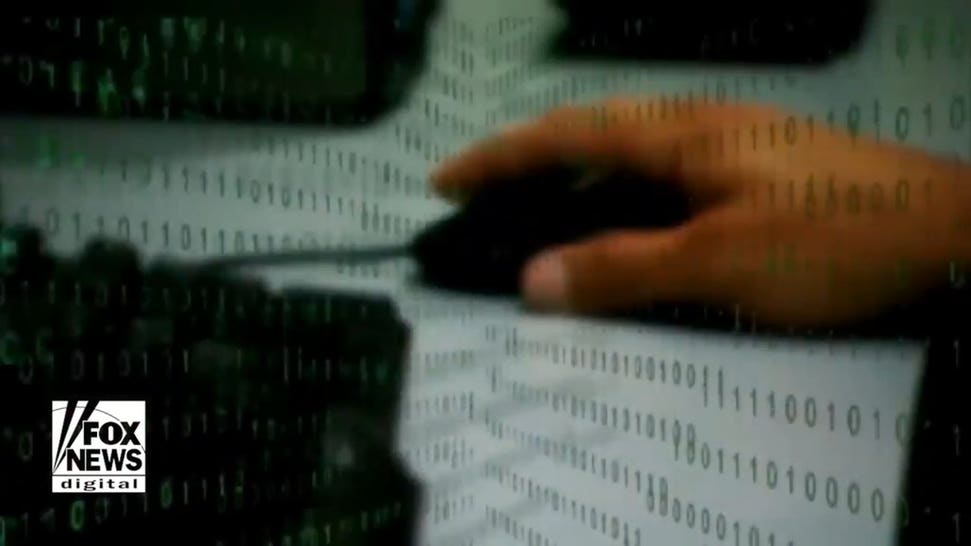 Hacker arrested in alleged malware scheme