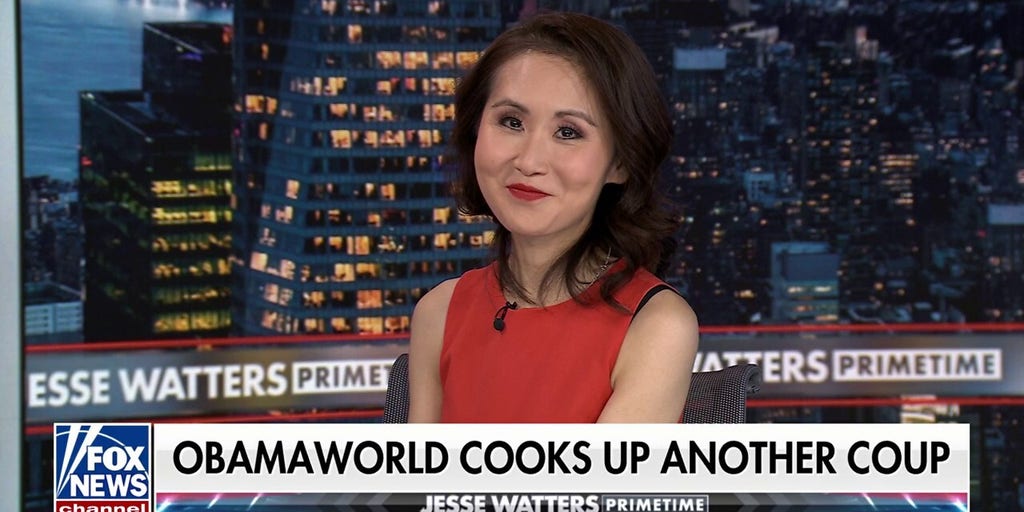 DNC finance member says party needs 'serious accounting'