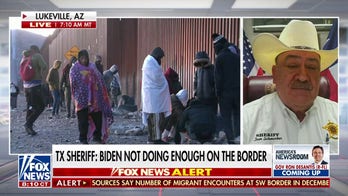 Texas struggling with the ongoing border crisis