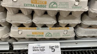 Egg prices nearly cut in half since February