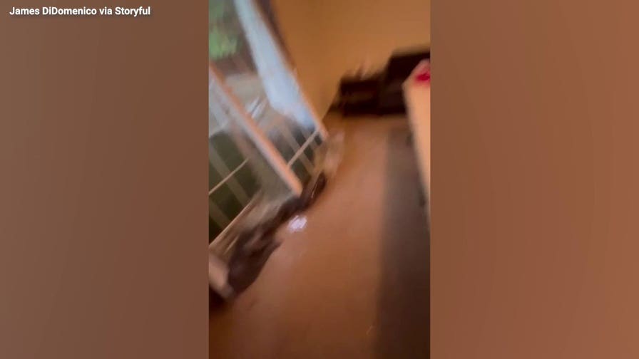 Watch: Floodwaters burst through doors of New Jersey off-campus housing
